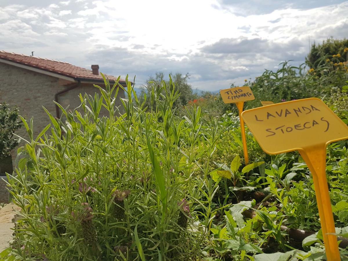 Il Fienile de La Cavallina Larciano Esterno foto